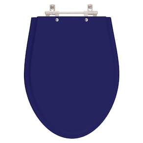 Assento Sanitario Azul Cobalto Para Vaso Ideal Standard