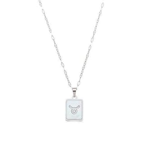 Colar Signo Madrepérola Corrente -Aço - Touro