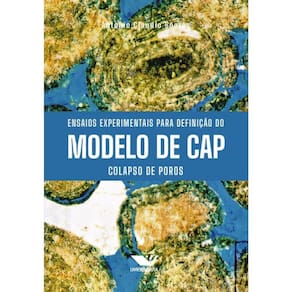 Ensaios Experimentais Para Definição Do Modelo De Cap