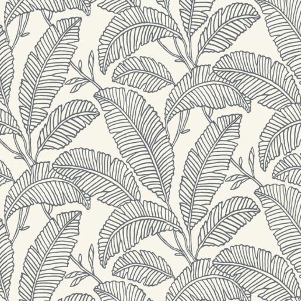 Papel de Parede Ciara Textura Preto A66703