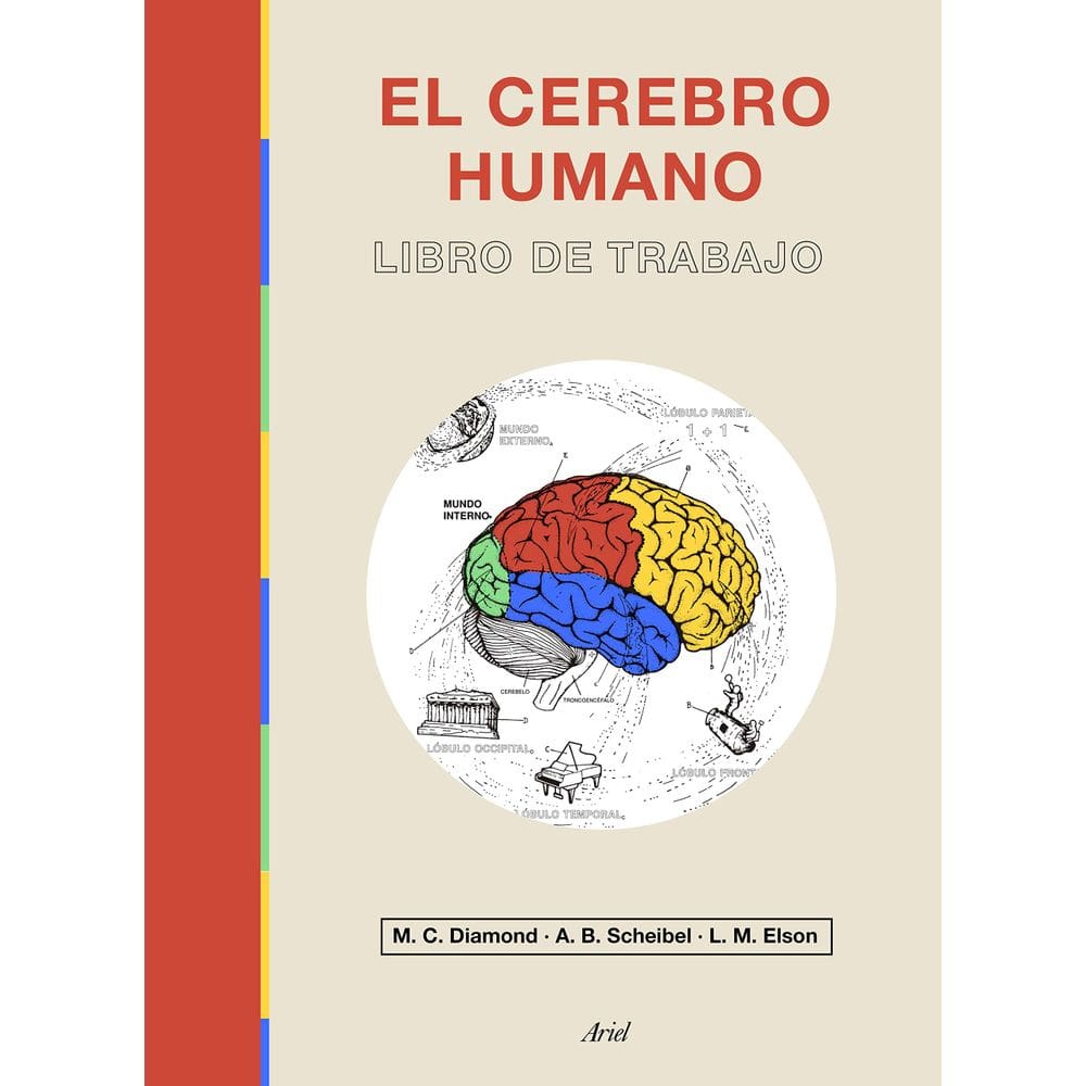 Livro Editorial Ariel Human Brain Workbook