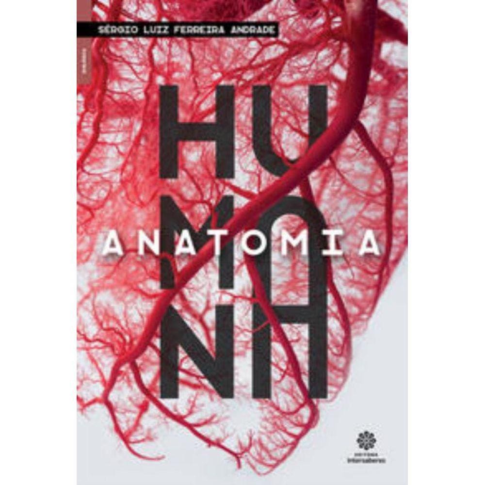 100 dragões de papel para dobrar e voar!