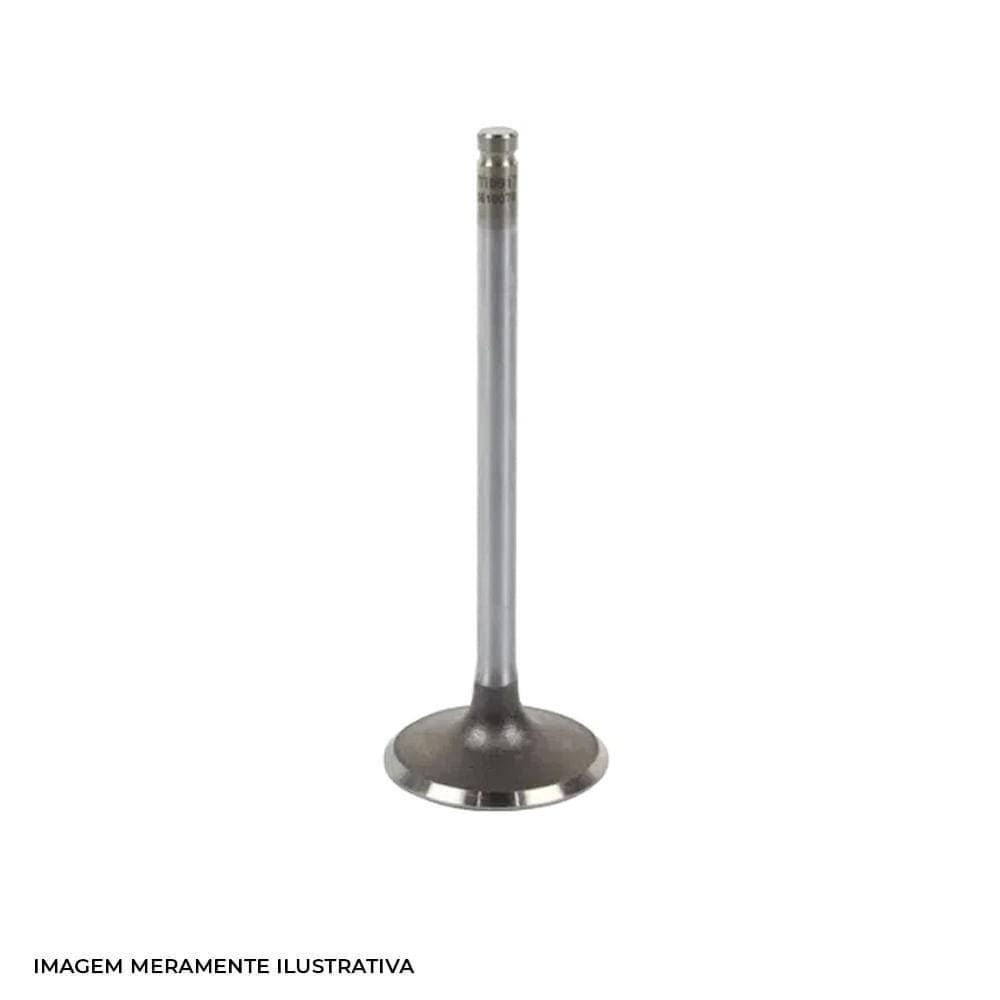 Valvula Admissao Metal Leve VA0510134 STD XLX 350R NX350 4UN