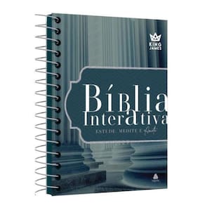 Biblia Interativa Estude, Medite E Anote - Capa Cinza