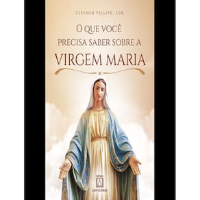 Que Voce Voce Precisa Saber Sobre A Virgem Maria, O