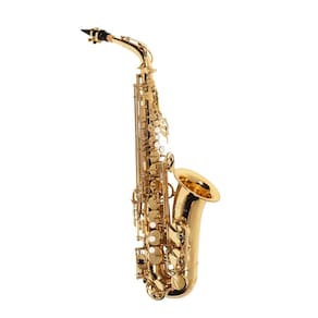 Saxofone Alto Michael Wasm30n Profissional Laqueado