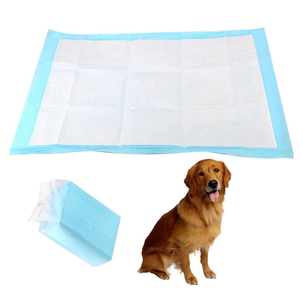 Tapete Higienico Cao Cachorro Pet 60x90 20 Undidades Treinamento Adestramento Absorvente Antivazamento Animal de Estimaçao