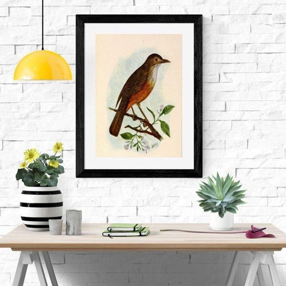 Quadro Decorativo Sabiá Laranjeira - 60X48Cm