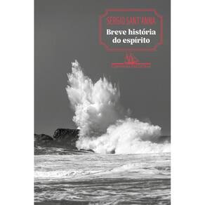 (1604) Breve história do espírito (Nova edição)