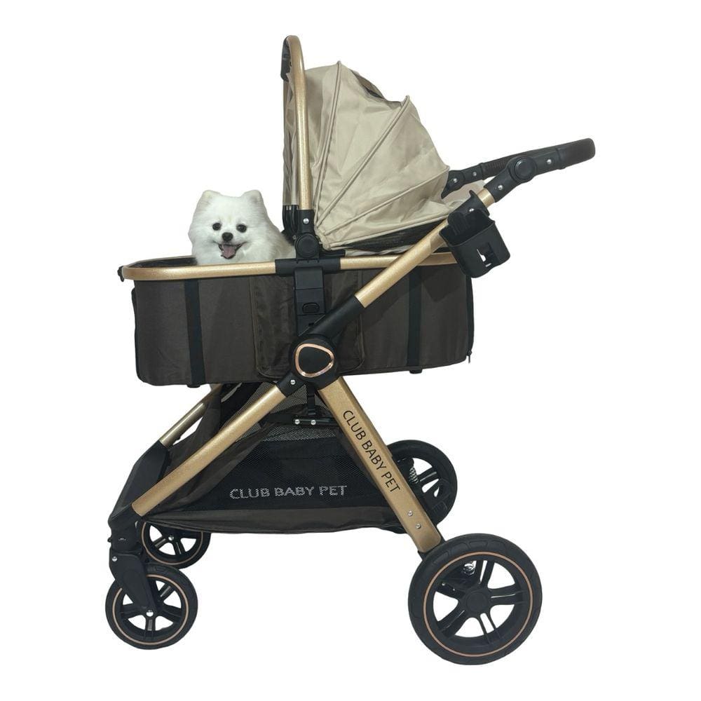 Pet Carrinho Europeu Inmetro  Marrom Cães/Gatos Club Baby