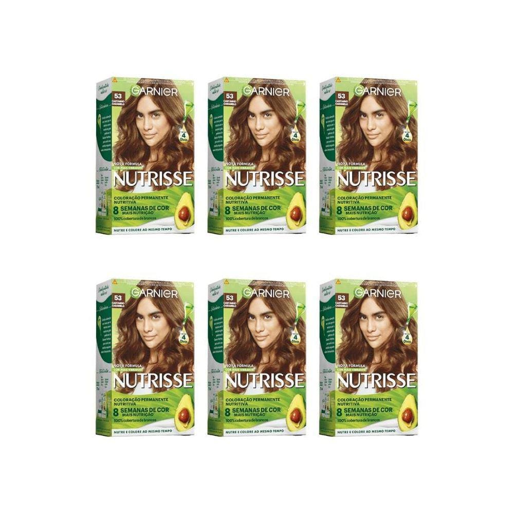 Coloraçao Nutrisse 53 Castanho Claro Dourado-Kit C/6Un