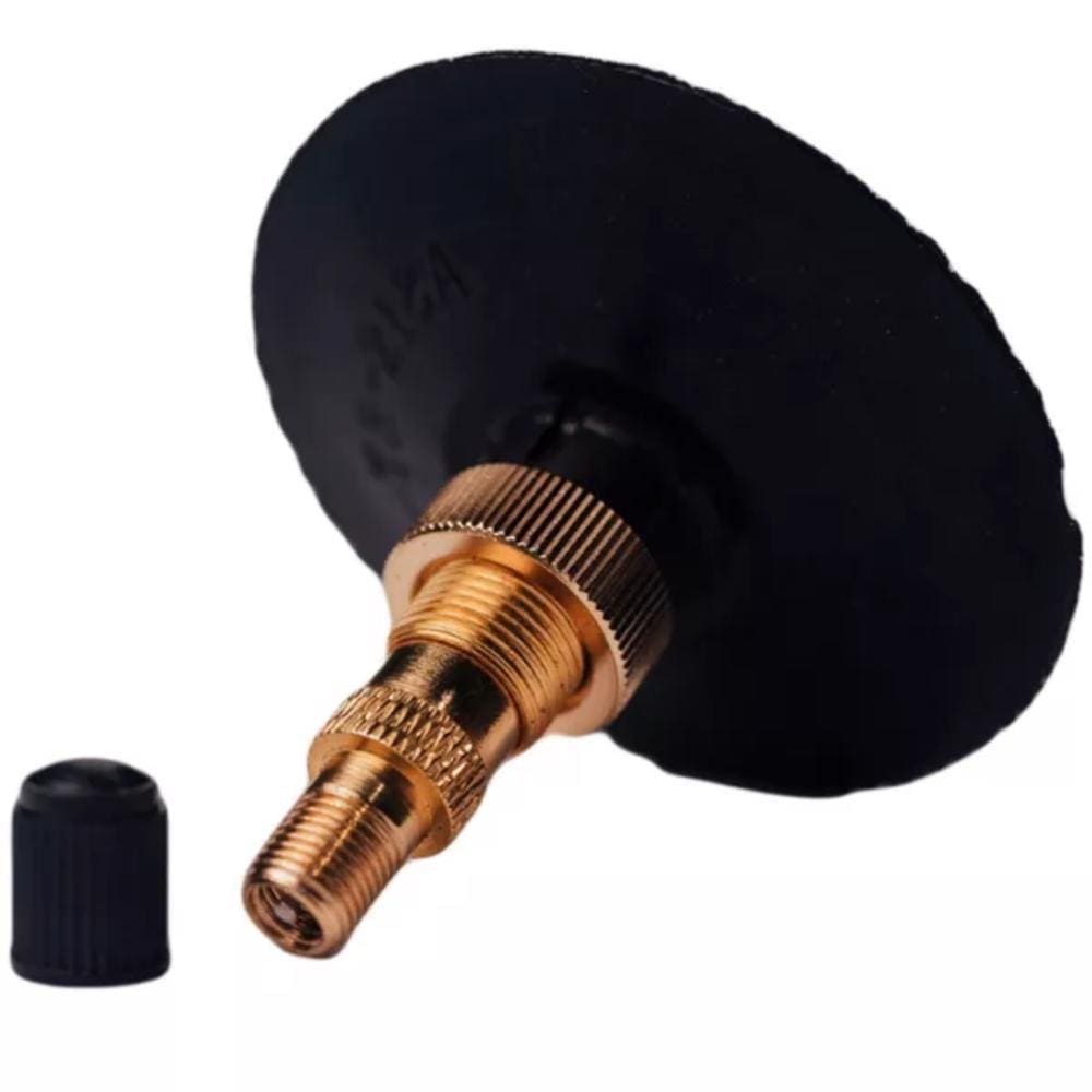 Válvula para Pneu com Camara TR-220 Fiontar
