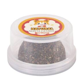 Bola adesiva de parede Cat Toy Octlang Catnip 100% l