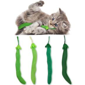Feijão verde Catnip Toy CityVolyeen para saúde bucal de gatos, 4 unidades