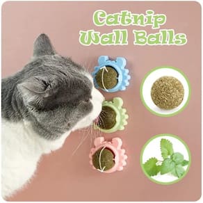 Catnip Wall Balls Kitty Kick Stix (pacote com 3) para gatos
