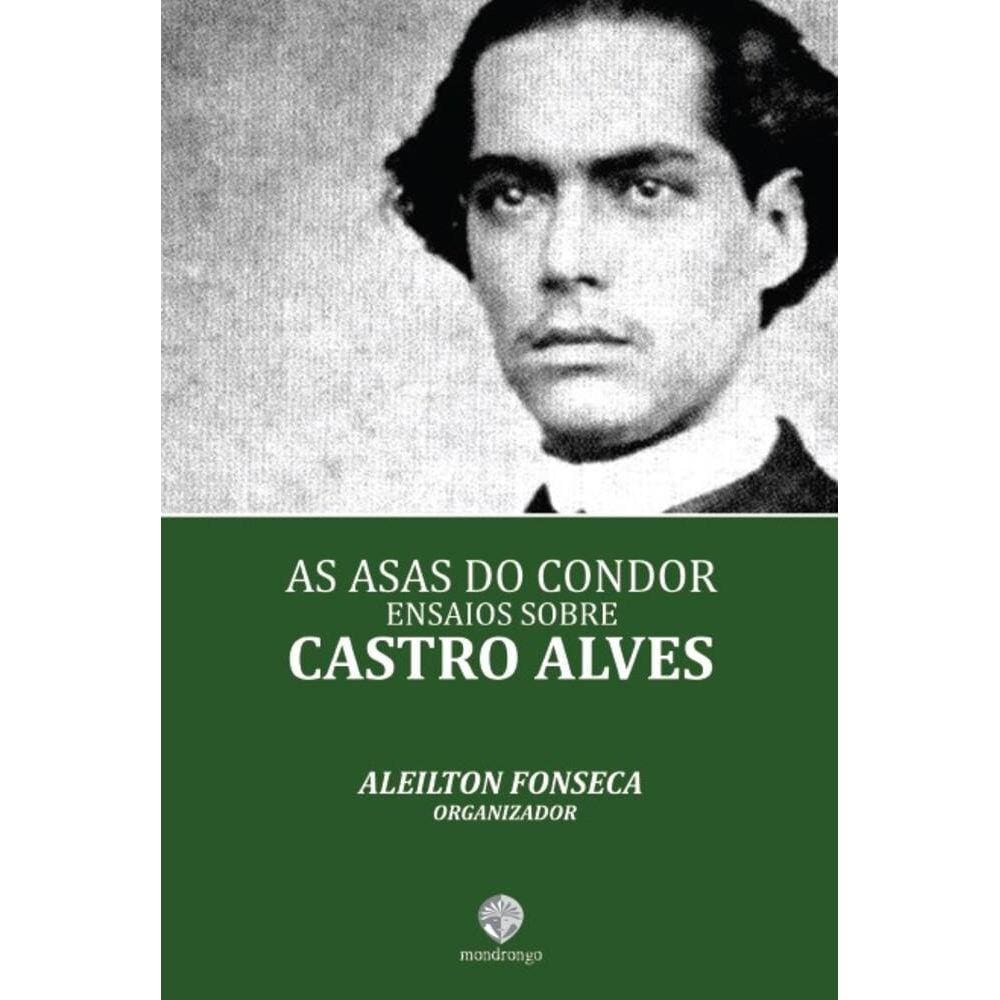 As asas do Condor: ensaio sobre Castro Alves