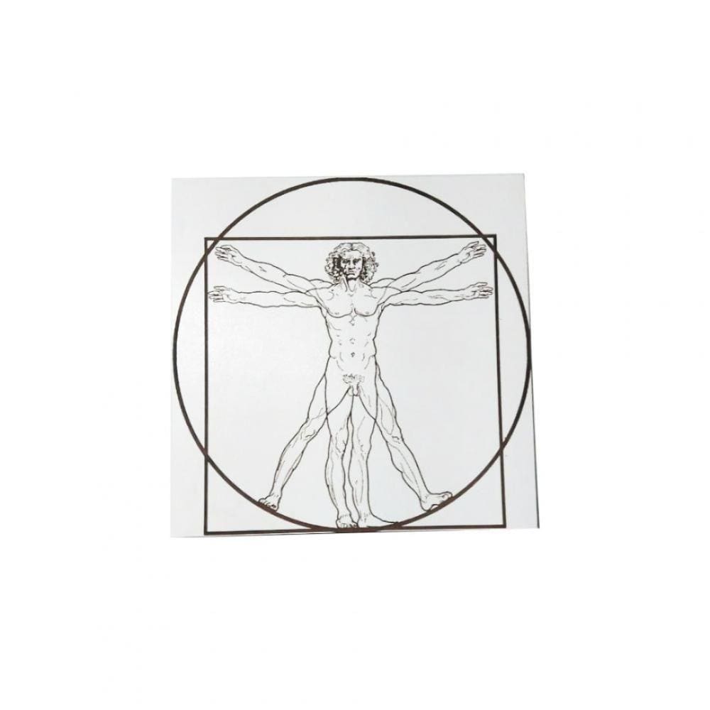 Quadro Decorativo Homem Vitruviano Em Mdf Branco [f031]