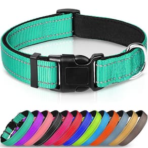Coleira para cães Joytale Reflective Neoprene Acolchoada Nylon Teal
