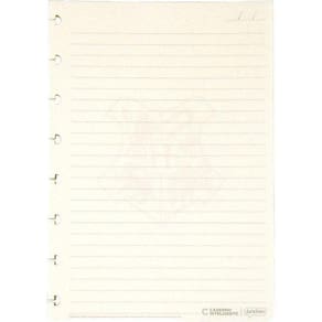 Caderno Inteligente Refil A5 Harry Potter Pautad 90G.50F