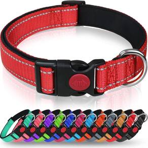 Coleira de cachorro Taglory Reflective Nylon para cães grandes, vermelha