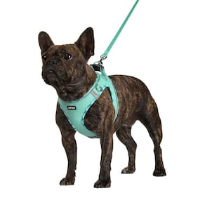 Arnês para cães AMTOR No Pull Reflective Step-in com conjunto de coleiras