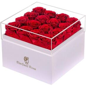Flores preservadas Eterfield Forever Flowers 16 rosas vermelhas