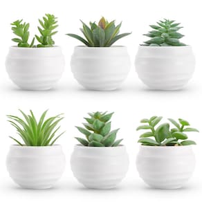 Conjunto de suculentas artificiais Der Rose com 6 plantas para decoração doméstica