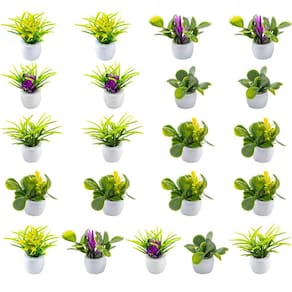 Plantas de casa de bonecas em miniatura Rileryan Mini Potted 21 unidades
