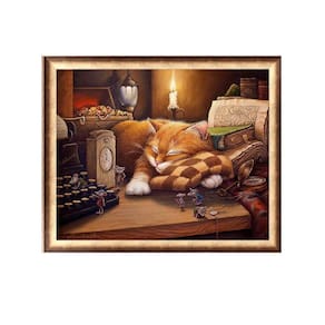 Gato Adormecido Pintura por Números Kit DIY Display Painting Wa