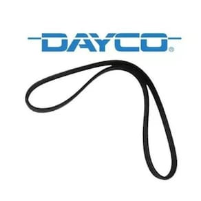 Correia Poly-V Dayco 6Pk 1905 Fiesta Courier Taurus Astra