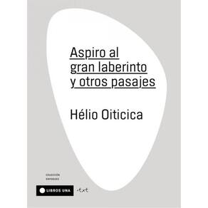 Aspiro Al Gran Laberinto Y Otros Pasajes