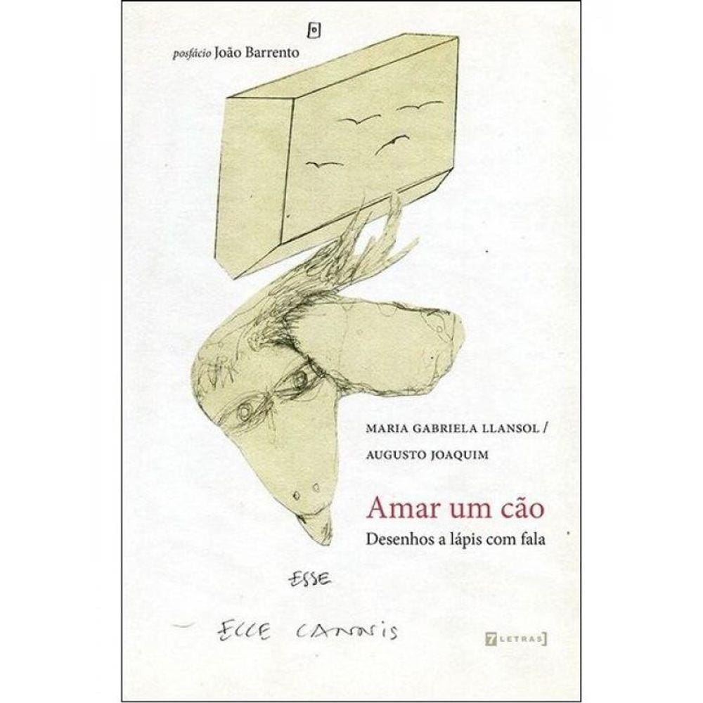 Amar Um Cão