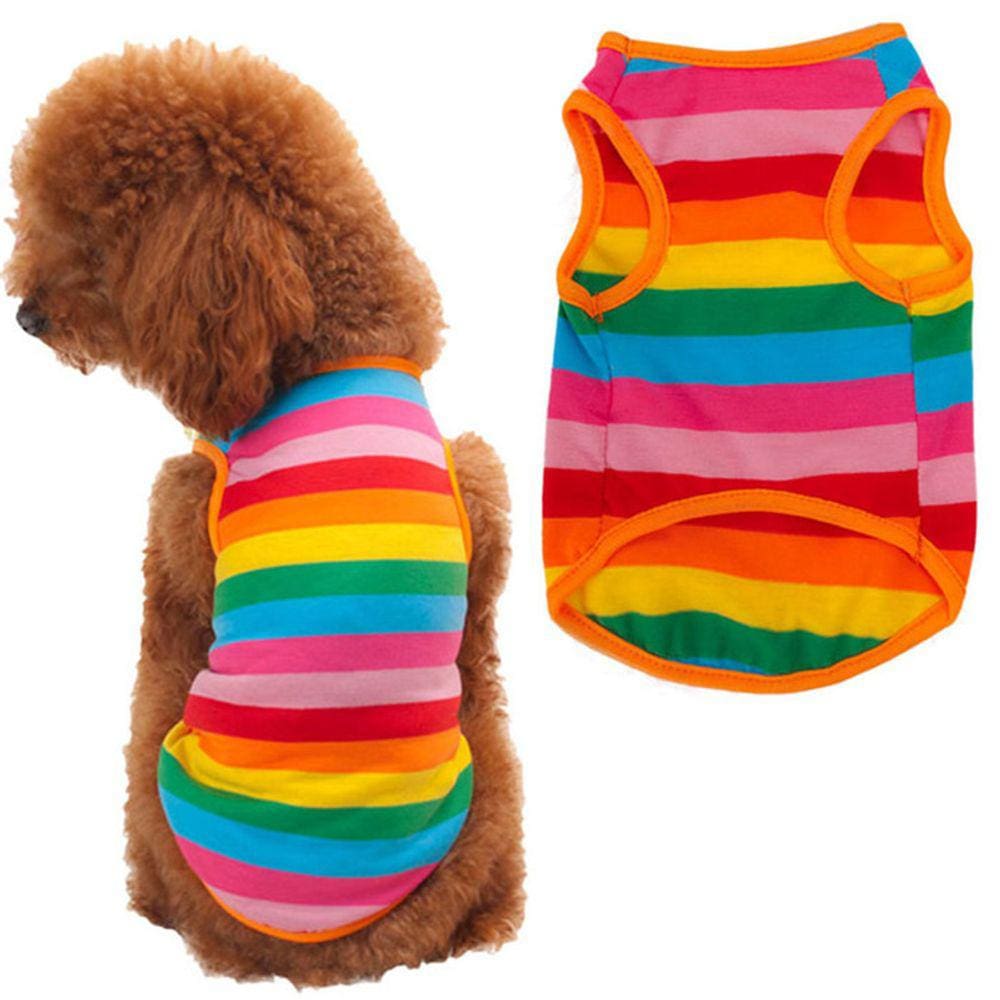 Camiseta Arco Iris Rainbow Colorida Roupa Pet Cachorro Gato