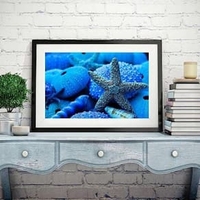Quadro Estrela Do Mar Azul Intenso - 60X48Cm