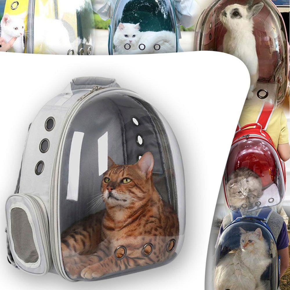 Mochila Transporte Transparente Gato Coelho Cachorro Passeio Viagem Alça Ombro Furos Ventilaçao Bolsos