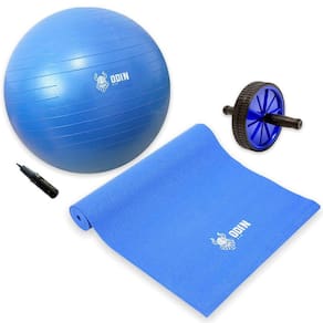Kit Bola Suiça 65Cm Gym Ball Roda Abdominal Tapete Yoga Odin