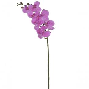 Haste Flor Orquídea Phalaenopsis Real Toque C-coat X7 73cm