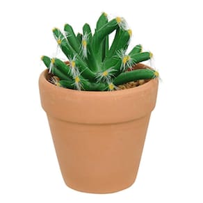 Vaso com Cacto Castelo de Fada Verde 14x6 cm - D`Rossi