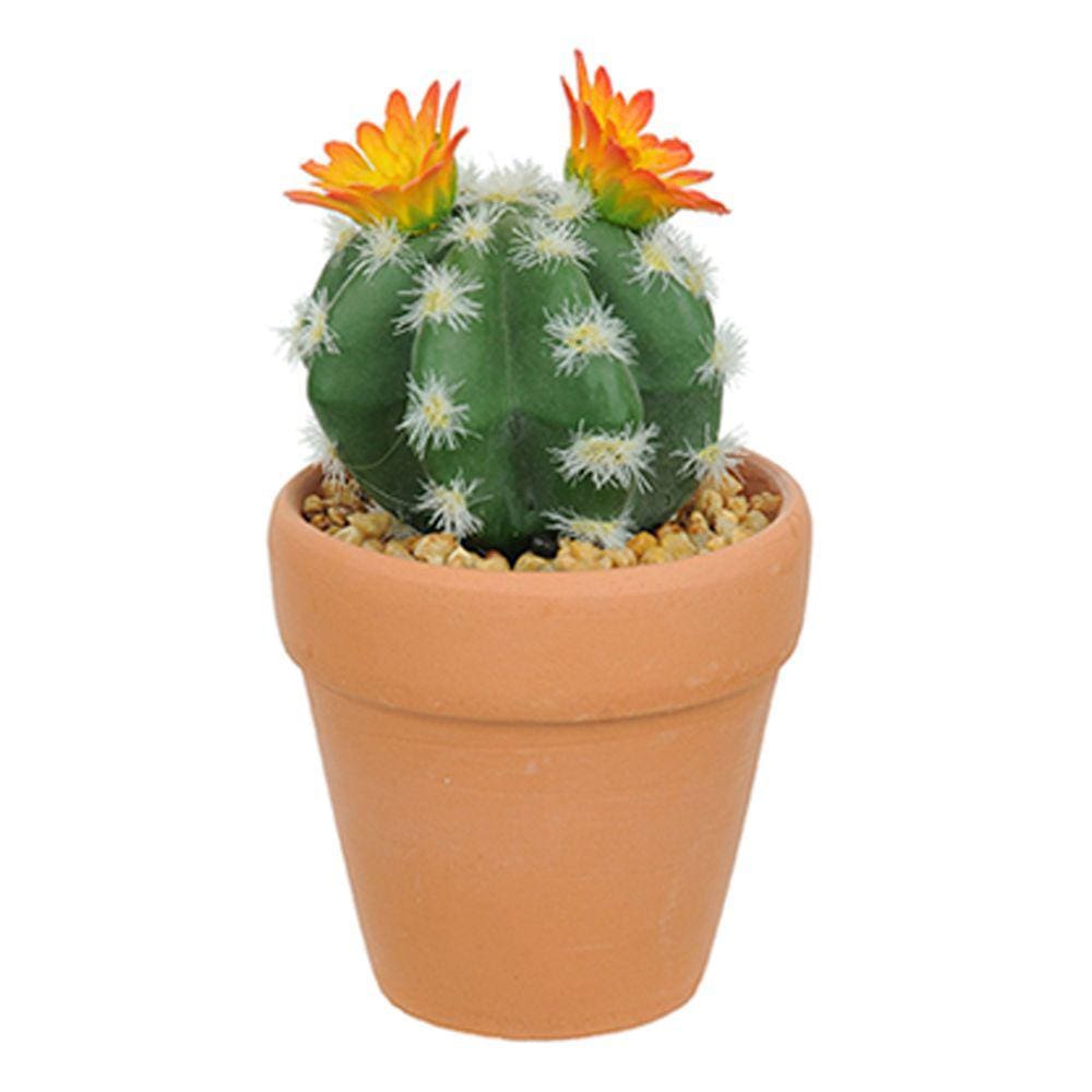 Vaso com Cacto Ferocactus Orcuttii Verde com Flor Amarela 14x6 cm - D`Rossi