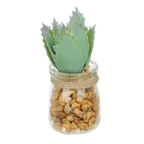 Vaso com Suculenta Folha Alta Verde Claro 10x7 cm - D`Rossi