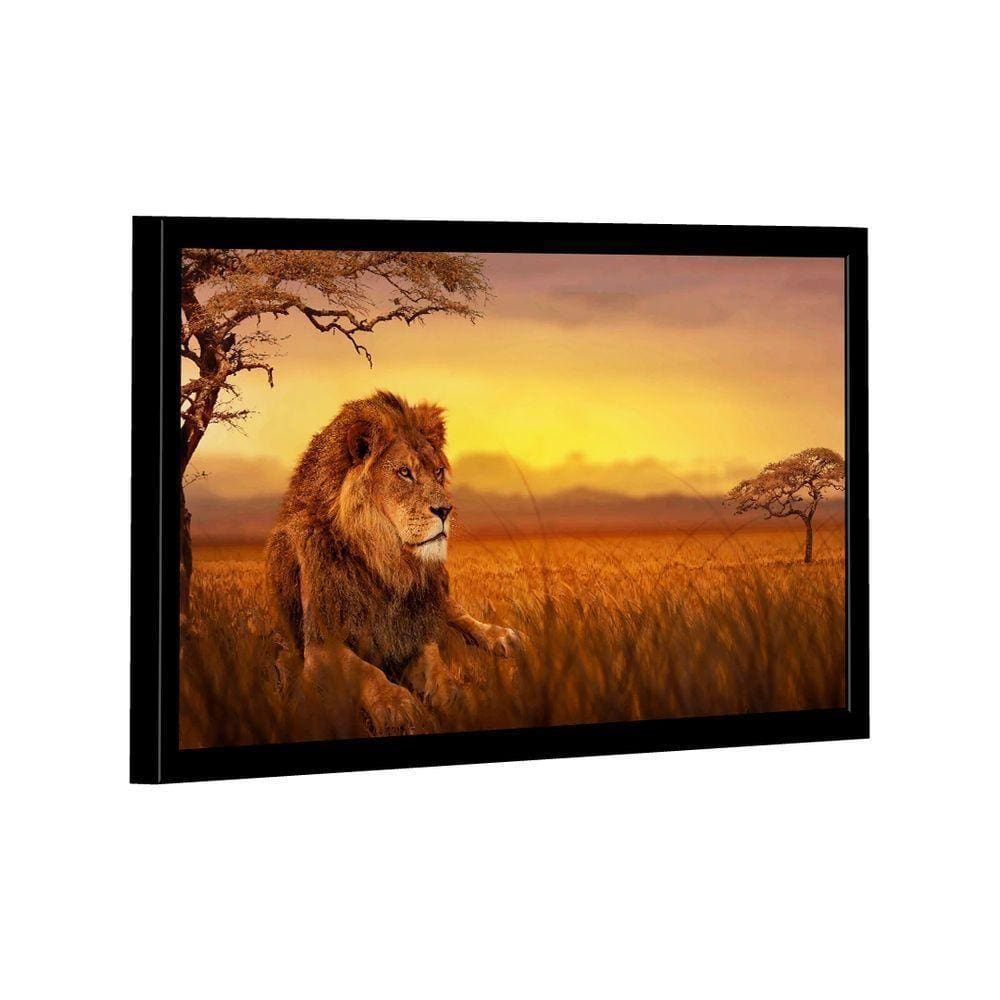 Quadro Leão Savana -- Br Artes