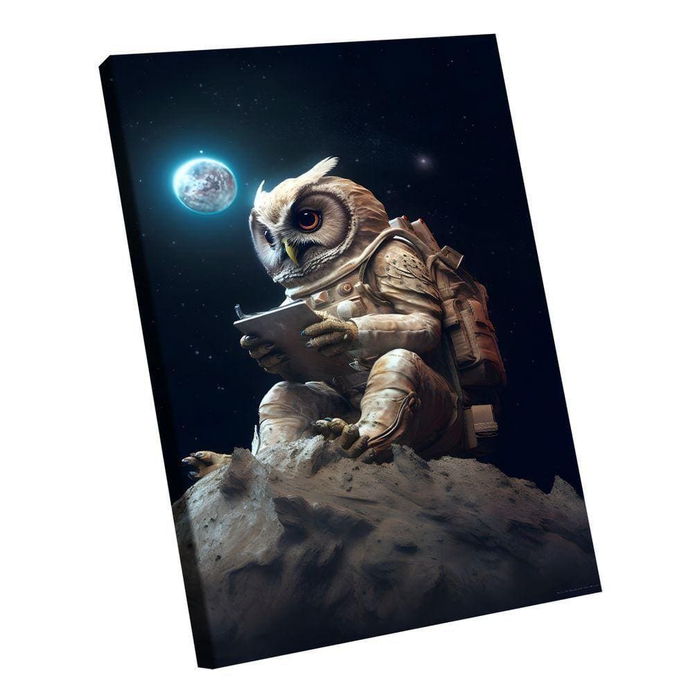 Quadro Coruja Espacial -- Br Artes