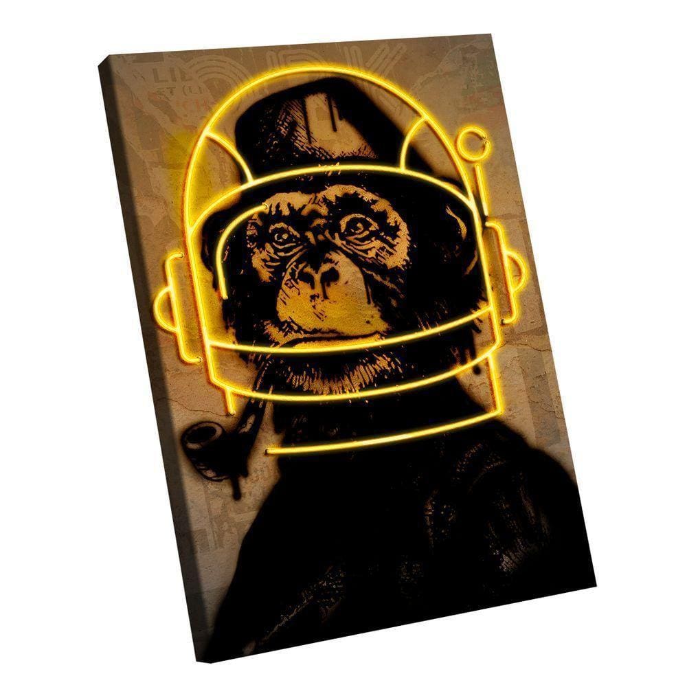 Quadro Macaco Reluzente -- Br Artes