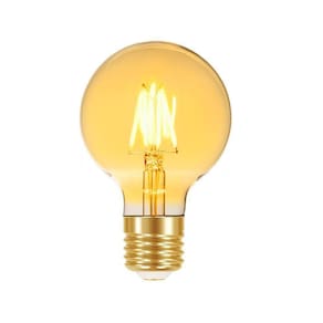 Lâmpada Led Filamento Vintage Globo G80 Taschibra E27 Bivolt