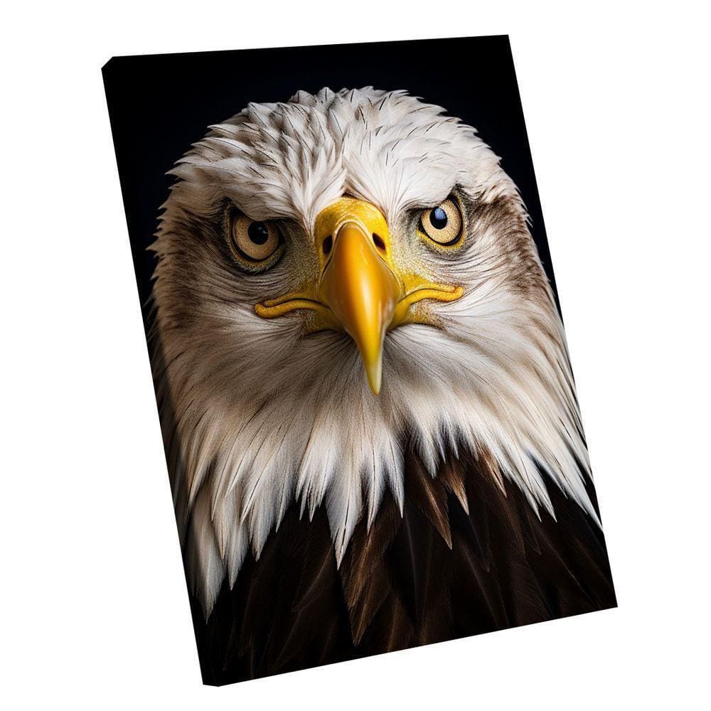 Quadro águia De Cabeça Branca -- Br Artes