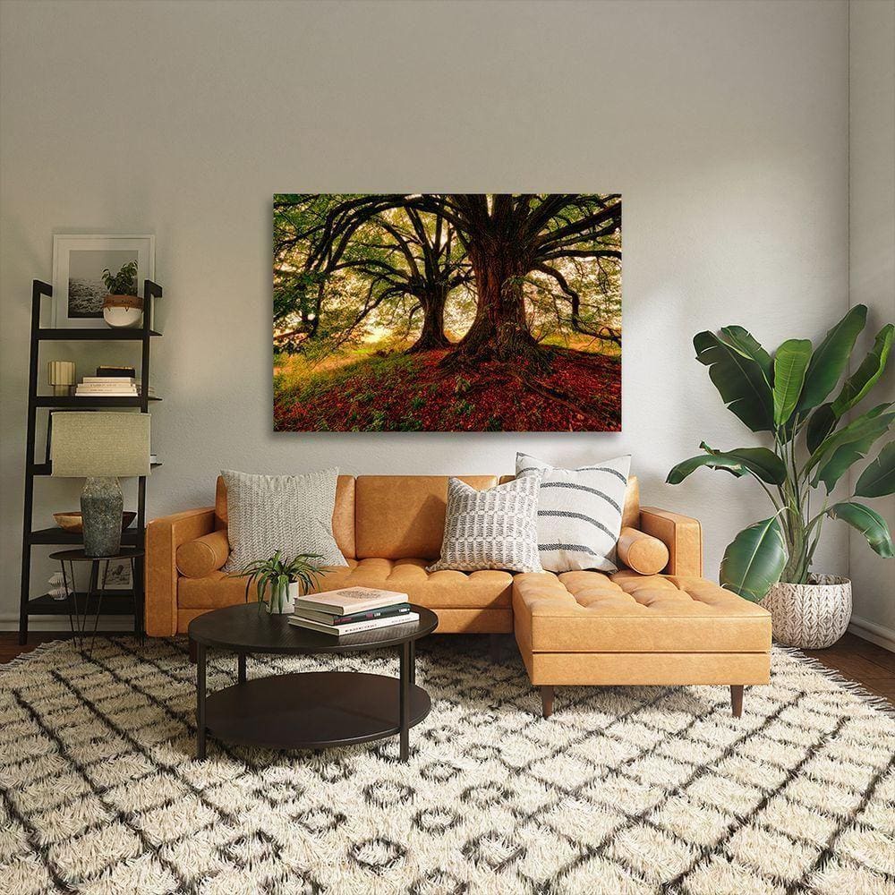 Quadro Decorativo árvore Meu Esconderijo