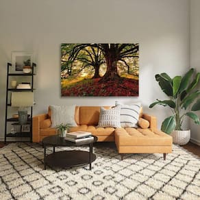 Quadro Decorativo árvore Meu Esconderijo