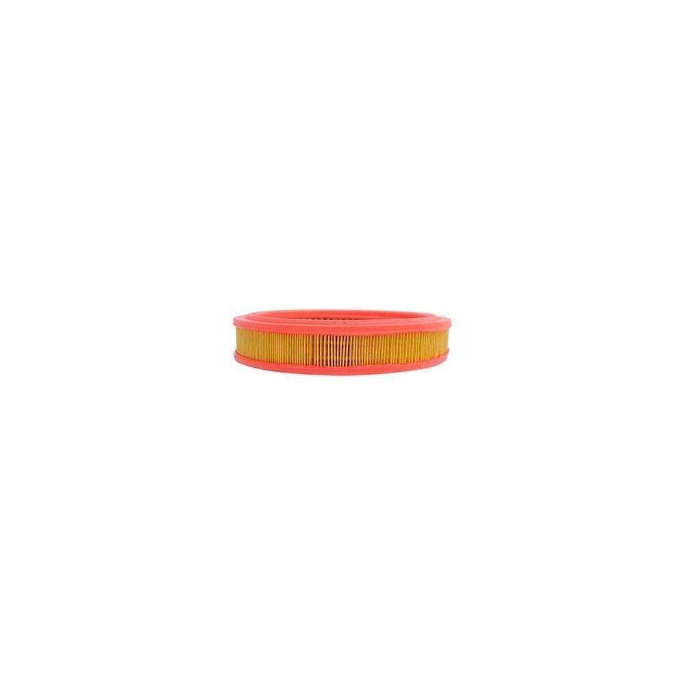 Filtro De Ar Mann-Filter Pampa/Scala - C 2840