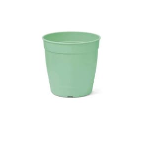 Vaso aquarela Nº1,5 verde (0,25L) NUTRIPLAN