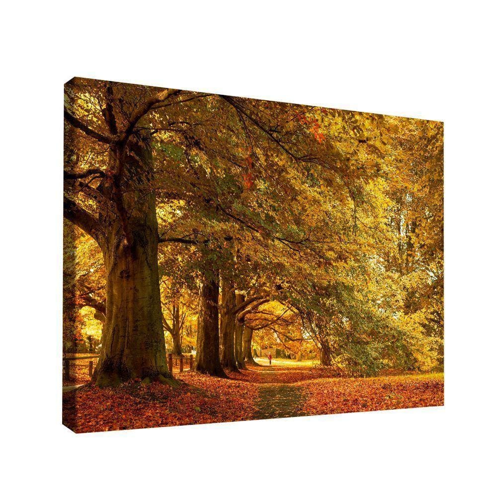 Quadro Decorativo Cenário De Outono